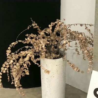 奉节福瑞交流群